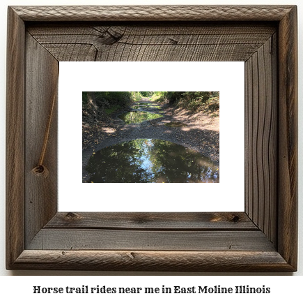 horse trail rides near me in East Moline, Illinois